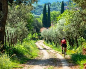 Cycliste sur un chemin rural entouré de nature en Italie